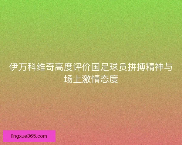 伊万科维奇高度评价国足球员拼搏精神与场上激情态度