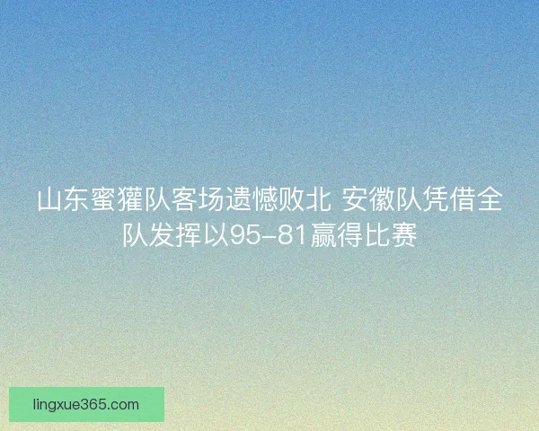 山东蜜獾队客场遗憾败北 安徽队凭借全队发挥以95-81赢得比赛