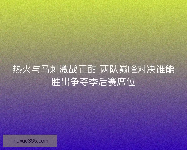 热火与马刺激战正酣 两队巅峰对决谁能胜出争夺季后赛席位