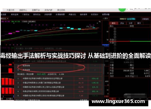 毒经输出手法解析与实战技巧探讨 从基础到进阶的全面解读